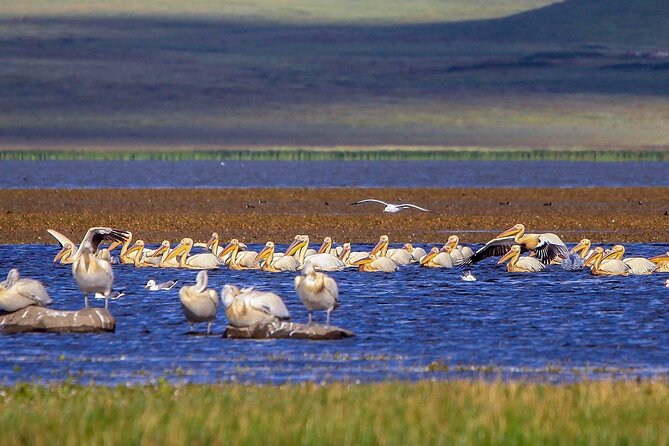 Vardzia. Lake Paravani, Khertvisi & Lomisa castle, Rabati - Practical Details and Booking Tips