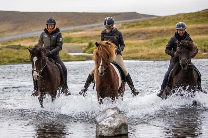 Varmahlid: 1-Hour Icelandic Horse Riding Tour - Key Points