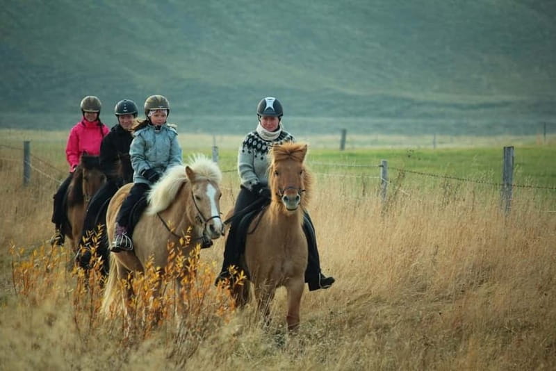 Varmahlid: 1-Hour Icelandic Horse Riding Tour - Comparing This Tour to Other Horse Riding Experiences