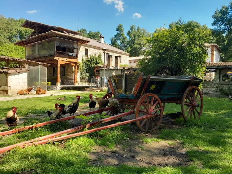 Varna: Guided VIP Tour - Discover Bulgaria’s Countryside and Cultural Highlights on a Guided VIP Tour from Varna