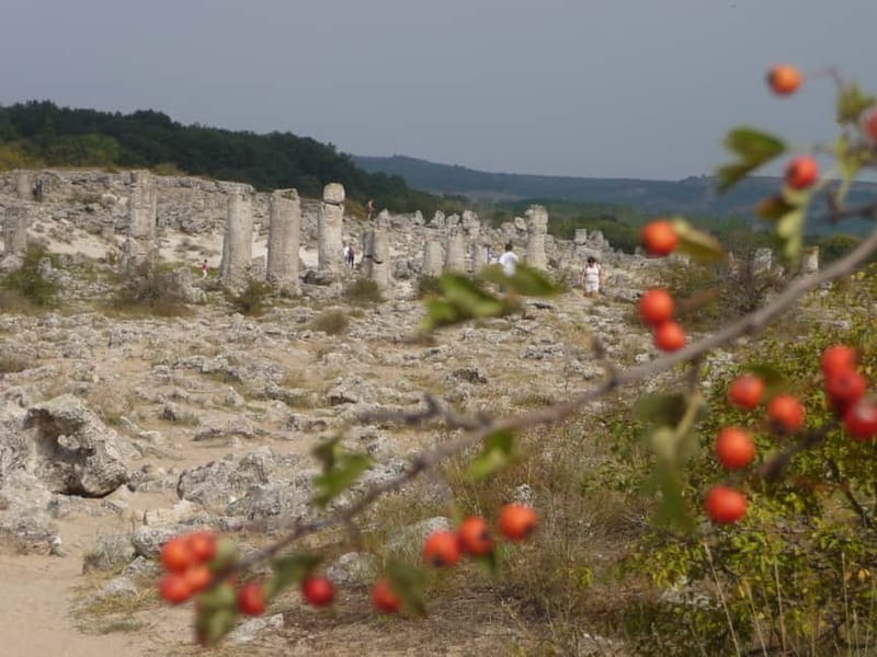 Varna: Guided VIP Tour - Enjoying a Traditional Bulgarian Lunch in a Home Setting