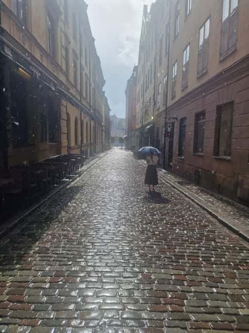 Vasa Museum and Icebar Stockholm -  