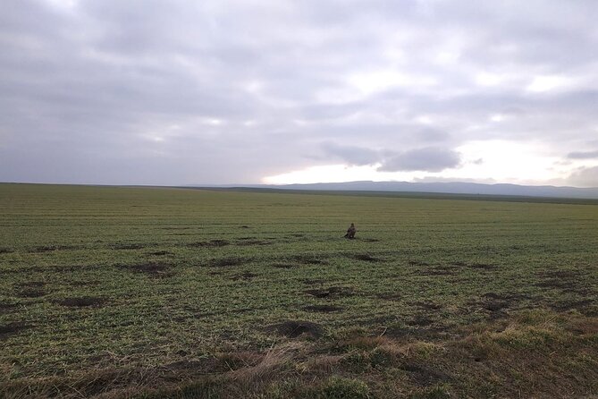 Vashlovani National Park Day Trip from Tbilisi - Starting the Day with Hotel Pickup in Tbilisi