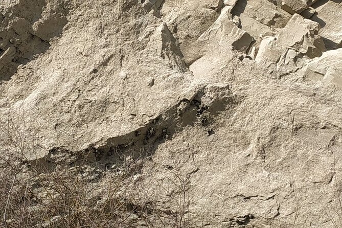 Vashlovani National Park Day Trip from Tbilisi - Visiting Artsivi Gorge and Kilakupra Mud Volcanoes