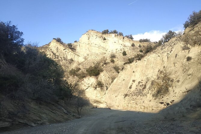 Vashlovani National Park Day Trip from Tbilisi - The Value of a Full-Day Private Tour