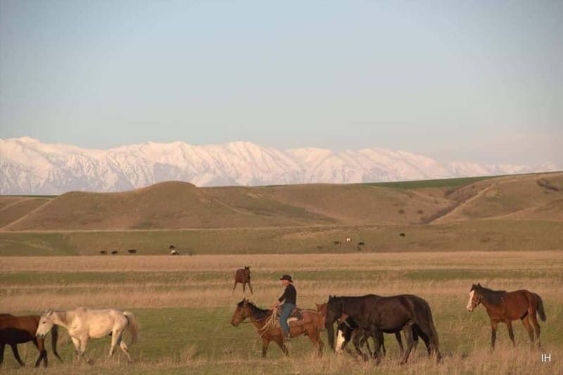 Vashlovani Nature Reserve: Horse Riding Tour - Discover the Unique Semi-Desert Ecosystem of Vashlovani on Horseback