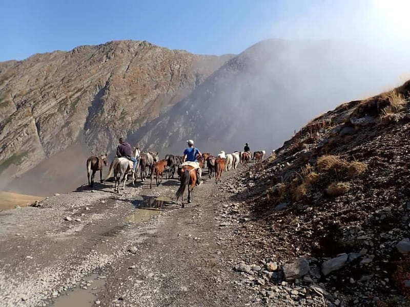 Vashlovani Nature Reserve: Horse Riding Tour - Key Points