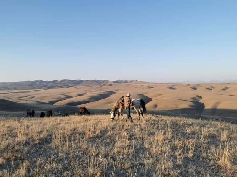 Vashlovani Nature Reserve: Horse Riding Tour - Comfortable Guest House Accommodation and Full Board Meals