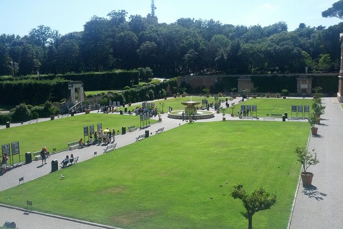 Vatican City Tour: Museums, Sistine Chapel and Basilica. - Practical Details: Meeting Point and Group Size