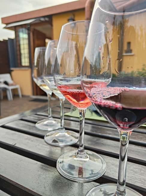 Vatican Pasta Class with wine and tiramisù - Key Points