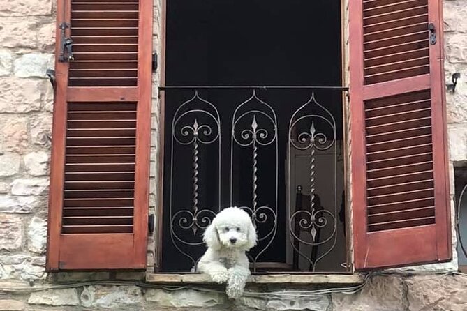 Vatican, Sistine Chapel Guided Tour & Access to St Peter Basilica - The Sistine Chapel: Michelangelos Masterpiece