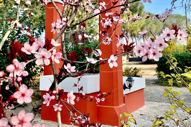 Vegan Charme: Typical Dinner with a Local in Monopoli - Unforgettable, Authentic Puglian Flavors