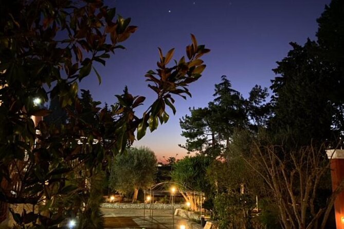 Vegan Charme: Typical Dinner with a Local in Monopoli - Who Will Appreciate This Experience Most