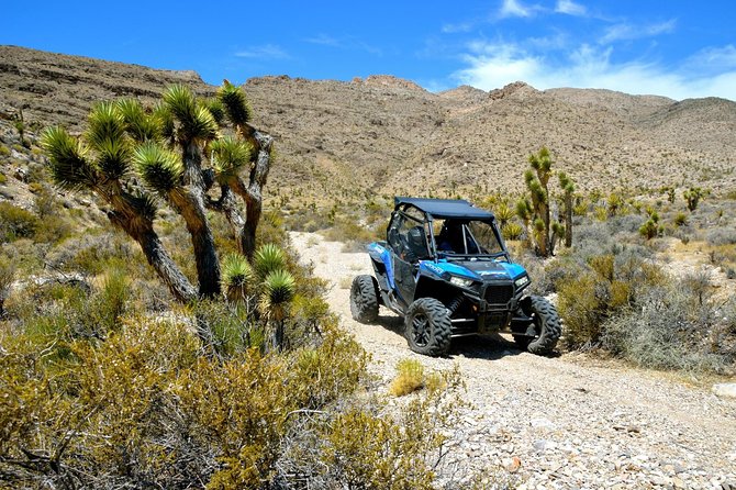 Vegas Desert RZR Adventure with Lunch at the Pioneer Saloon - Start Point and Duration of the Desert RZR Adventure