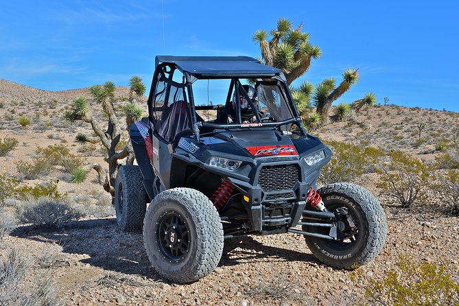 Vegas Desert RZR Adventure with Lunch at the Pioneer Saloon - The Town of Goodsprings and Its Historic Charm
