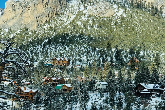 Vegas Winter Adventure: Mt. Charleston Snow Day - Who Will Enjoy This Tour Most