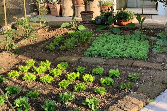 Vegetarian Dinner Cooking Class in Verona - Creating Vegetarian Skewers and Gnocchi with Aurora