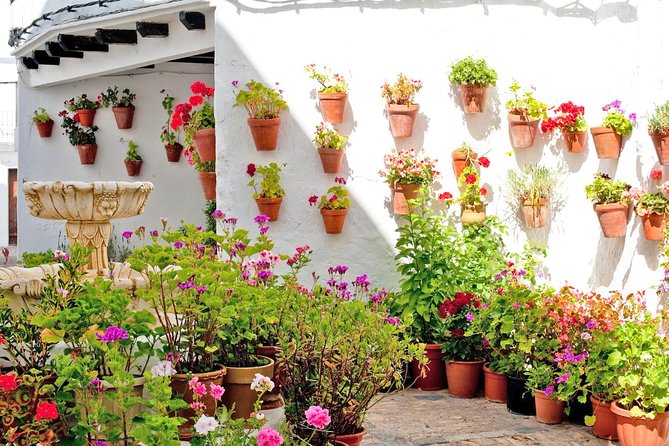 Vejer de la Frontera & Bolonia Beach Private Tour from Cadiz - Visiting Baelo Claudio: Well-Preserved Roman Ruins