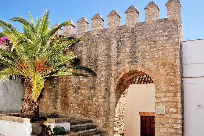 Vejer de la Frontera & Bolonia Beach Private Tour from Cadiz - The Guide and Overall Experience