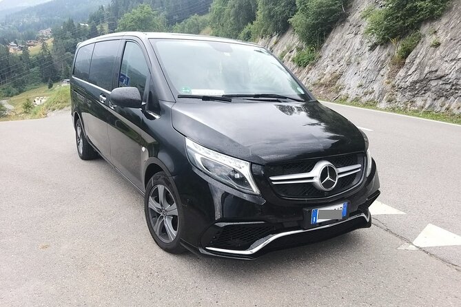 Venice Airport (VCE) to Venice, cruise port - Round-Trip Private Transfer - Helpful Driver Assistance with Luggage