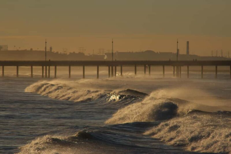 Venice Beach: Guided Walking Tour of the Canals - Exploring the Locally-Owned Artisan Market