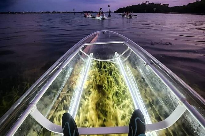 Venice Clear Kayak Glass Bottom LED Night Tour - Key Points