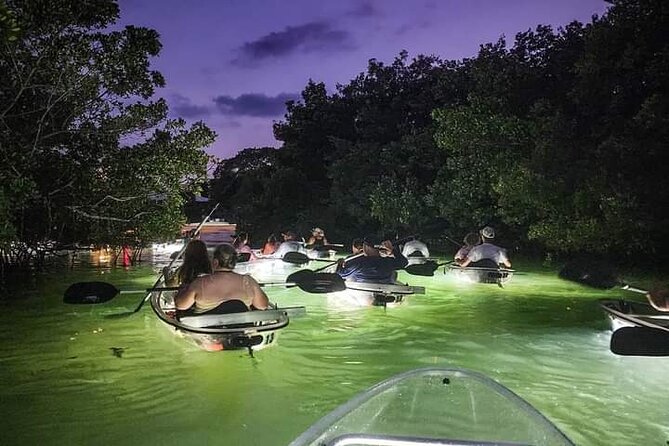 Venice Clear Kayak Glass Bottom LED Night Tour - Starting Point at Nokomis Beach: Convenient Access for Water Adventures