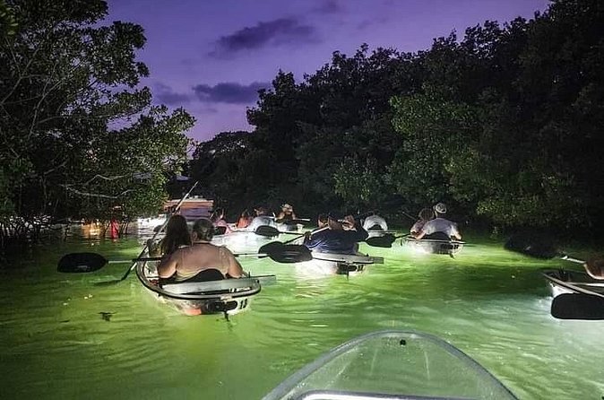 Venice Clear Kayak Glass Bottom LED Night Tour - Physical Requirements and Accessibility