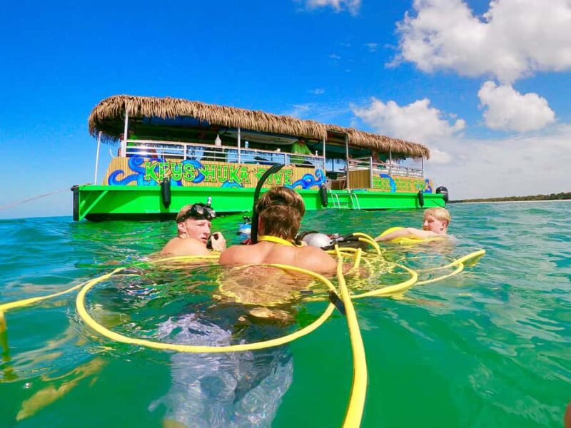 Venice, FL: Shark Tooth Adventure, Snorkel, Paddleboard - Key Points