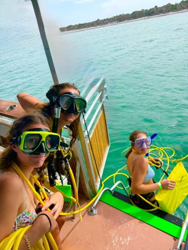 Venice, FL: Shark Tooth Adventure, Snorkel, Paddleboard - Booking Flexibility and Cancellation Policy