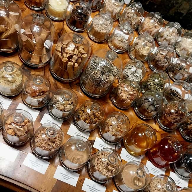VENICE, FRANKINCENSE AND MYRRH! A JOURNEY ON AROMATICS TRADE - The Olfactory Journey: Fragrances and Raw Materials