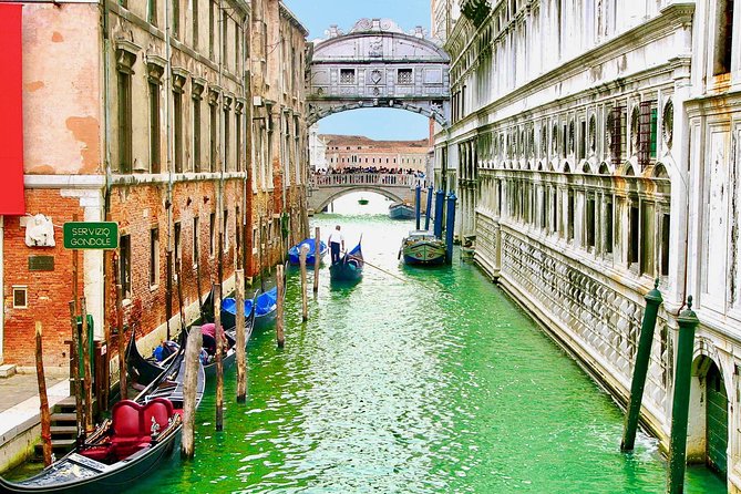 Venice in a Day: the main highlights of the city - Free Time and Museum Visit Options