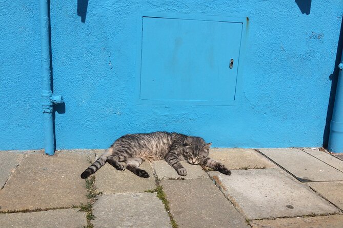 Venice Islands Boat Trip Murano Burano,(Torcello) - Starting Point and How to Join the Tour