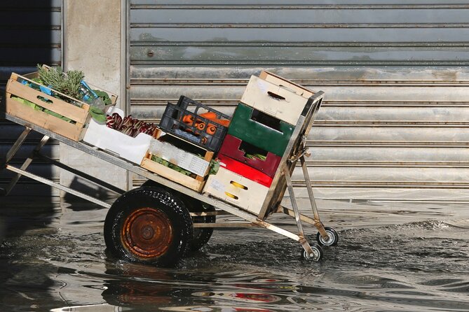 Venice Kickstart Private Tour - Insights into Venice’s Water Management and Climate Challenges