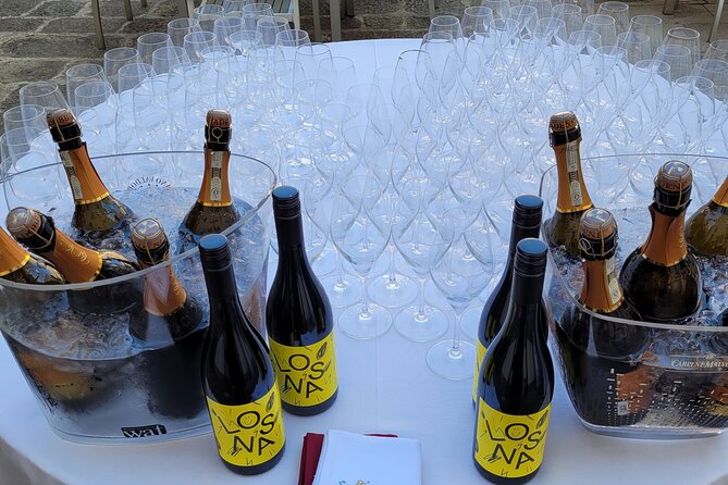 Venice like a local: Vini and Cichetti at Liuba and Hugo's home - Logistics and Practical Tips for Guests