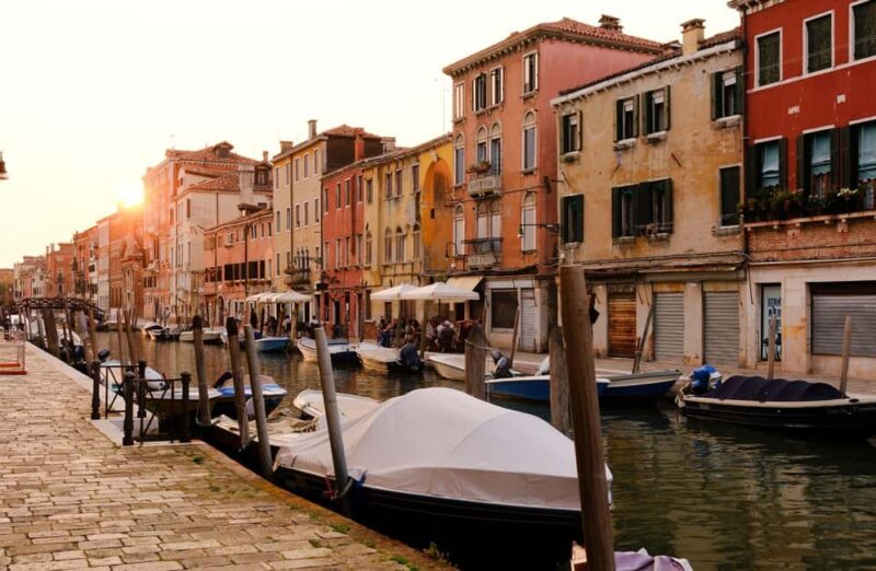 Venice: Luxury Natural Wine Tasting with Cicchetti Tapas - The Curated Natural Wines: Sparkling, White, and Red