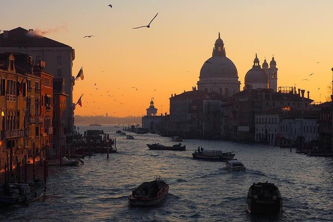 Venice Marco Polo Airport Private Arrival Transfer via Motorboat - The Experience of the Lagoon Ride