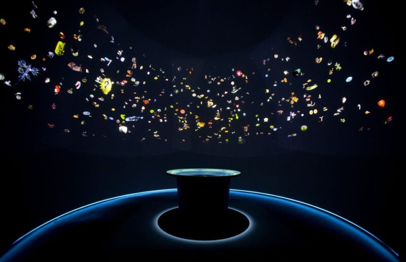 Venice: Natural History Museum Entry Ticket - Key Points