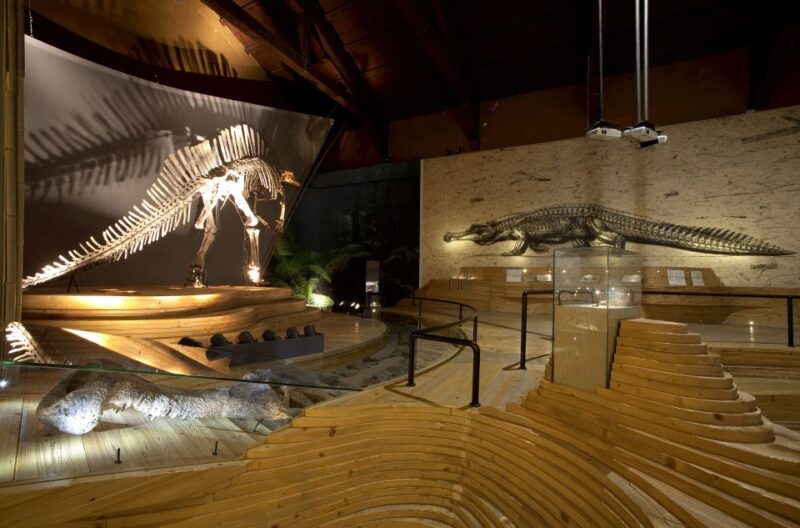 Venice: Natural History Museum Entry Ticket - The Historic Home of Natural History in Venice