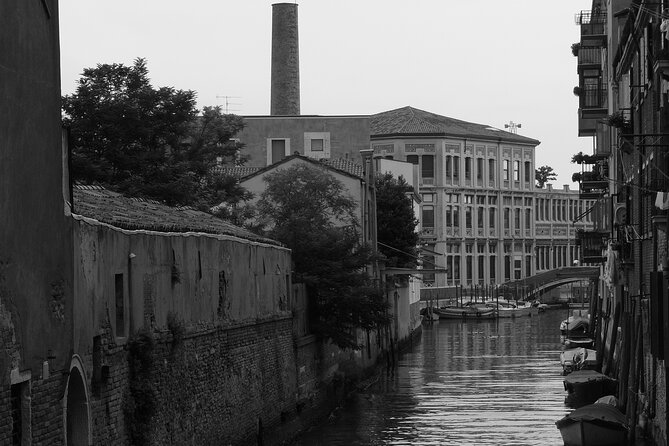Venice Photography Walking Tour with Private Guide - The Experience of a Local Guide