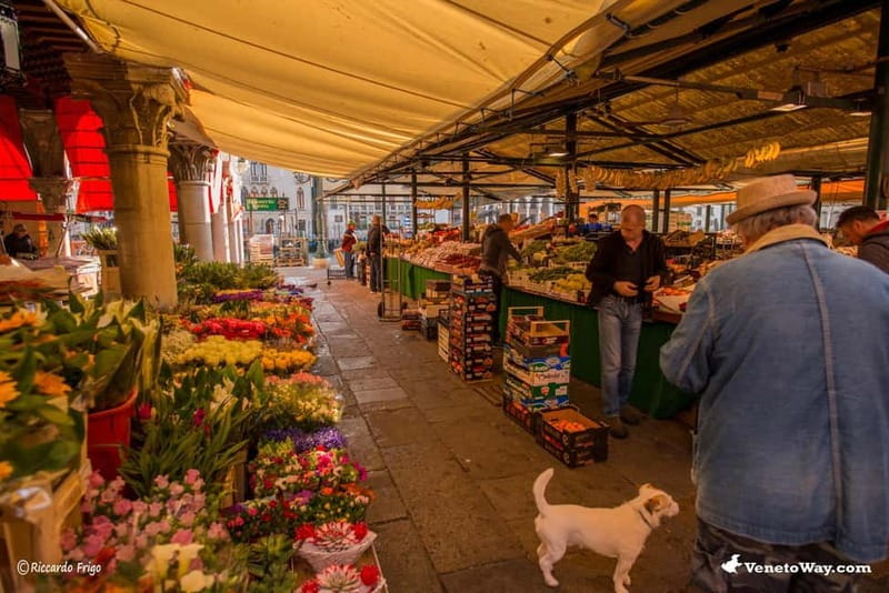 Venice: Rialto Market Food Tour with 3 Tastings - Key Points