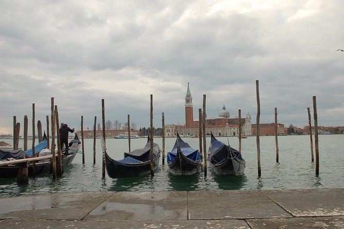 Venice Skip the Line Saint Mark's Basilica and Doge's Palace Private Tour - Cost and Booking Value