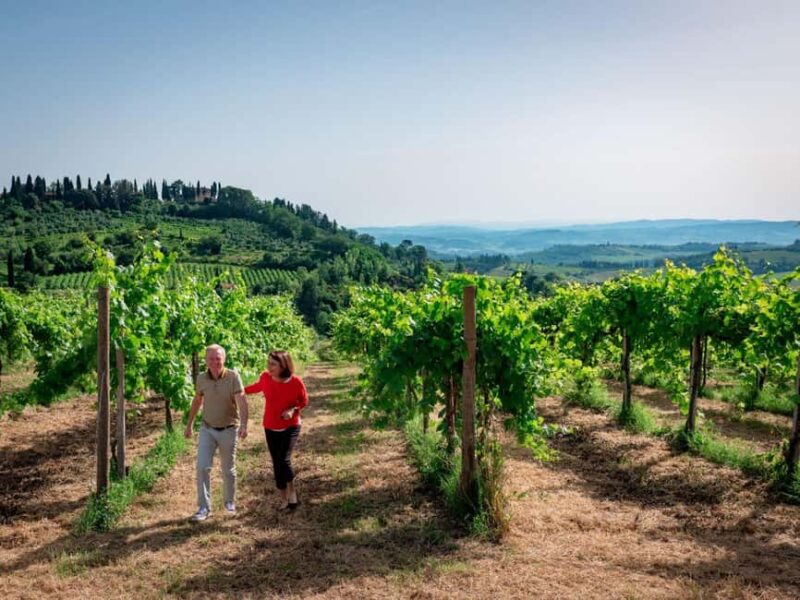 Venice & Treviso: A 4-Day Short Italian Break - Exploring Venice’s Iconic Landmarks on a Guided Walk