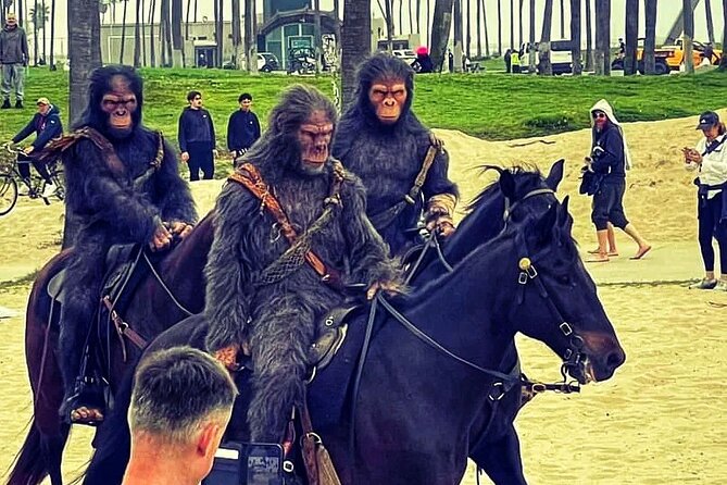 Venice Vibrations Public Bike Tour Experience - Why Choose the Venice Vibrations Bike Tour