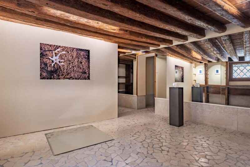 Venice Wine Tasting and Contemporary Art - Discovering the Venue in Venices Art Scene