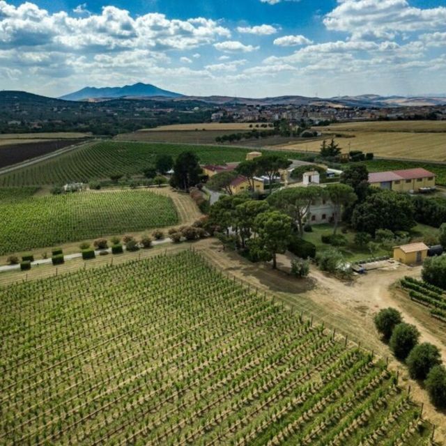 Venosa: Re Manfredi Winery Tour with Tastings - Visiting Venosa: The Starting Point of the Wine Tour