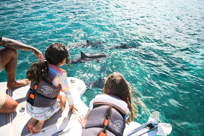 Venture Wildlife Snorkel Charter from Ko Olina - The Comforts and Amenities on The Venture Boat