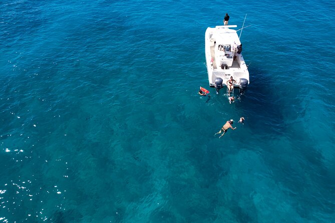 Venture Wildlife Snorkel Charter from Ko Olina - Why Choose This Tour for an Intimate Marine Adventure