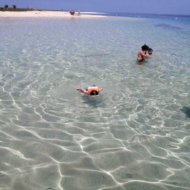 Veracruz: Snorkeling Adventure at Isla de En Medio - Exploring Isla de En Medio’s Pristine White Sands and Turquoise Waters