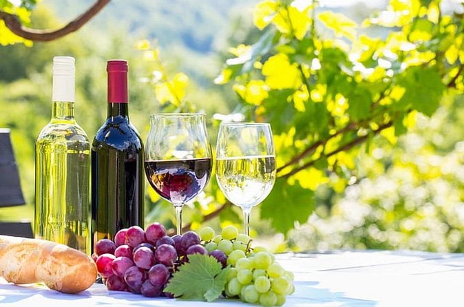 Verde Valley Private Wine Tasting Tour - Practical Details: Meeting Point, Duration, and Group Size